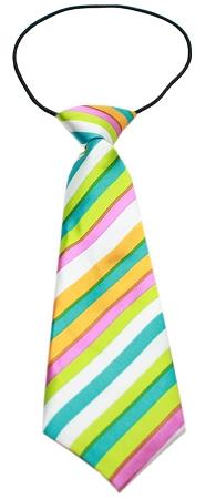 Big Dog Neck Tie Funky Stripes InfiniteWags 