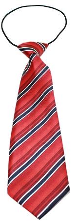 Big Dog Neck Tie Shades of Red InfiniteWags 