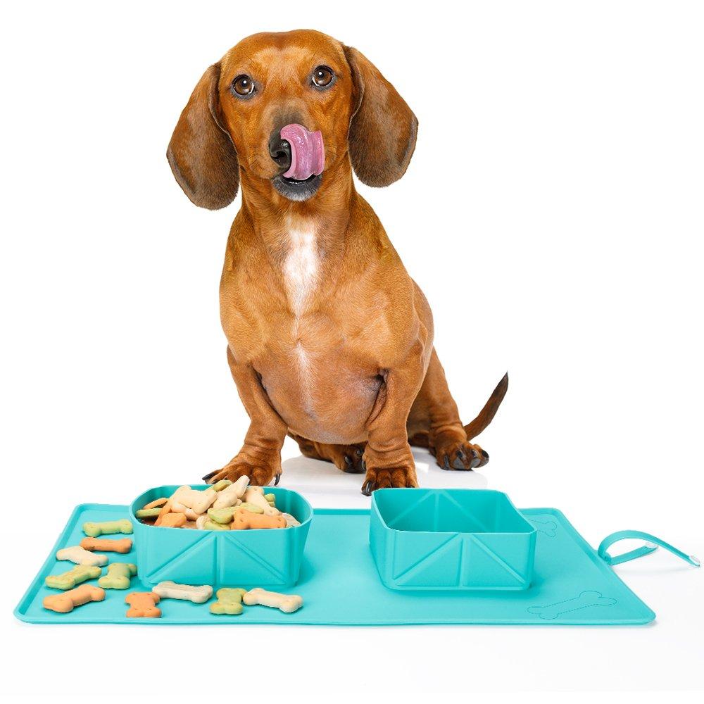 Portable Pet Food Bowls - Collapsible - 600ml Capacity InfiniteWags 