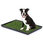 Artificial Grass Pee Pad - Prevue Pet Products Tinkle Turf Pet Waste Disposal Prevue Hendryx Small - 23-Inch by 16-Inch 