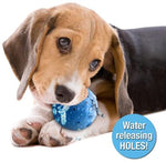 Hydro Dog Ball Toy - 2″ x 2″ x 2″ - Hugs Pet Products Hugs Pet Products 