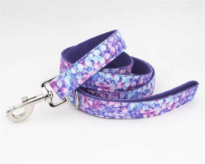 Neon Dreams Collar and Leash Set InfiniteWags 
