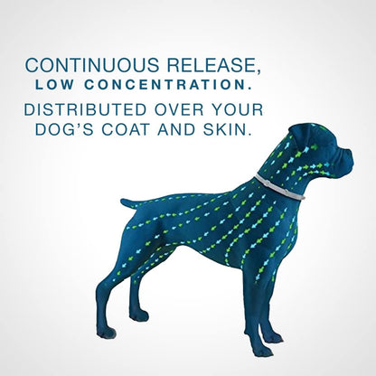 Flea and Tick Collar for Dogs - 8-Month Flea and Tick Collar - Seresto Bayer 