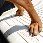 Portable Folding Dog Ramp - Holds up to 500 Pounds - PetStep Folding Dog Ramp Dog Ramps PetStep 