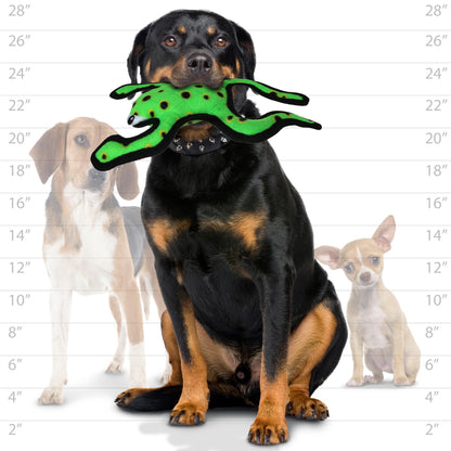 Tough Frog Dog Toy - Tuffy® Desert Series - Phrog Leaping Tuffy 