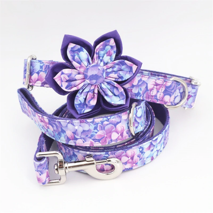 Neon Dreams Collar and Leash Set InfiniteWags XS(15-25cm Length) 