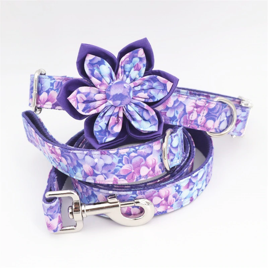Neon Dreams Collar and Leash Set InfiniteWags XS(15-25cm Length) 