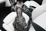 Travel Safety Pet Harness - K&H Pet Products K&H Pet Products 