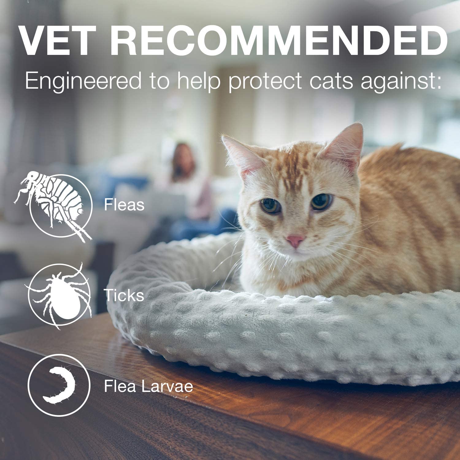 Flea and Tick Collar for Cats - 8-Month - Seresto Bayer 