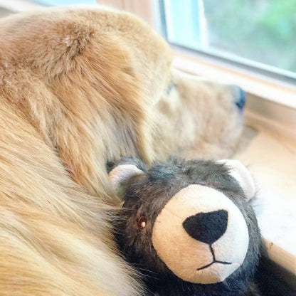 Stuffing Free Bear Dog Toy - Squeaky - Ethical Pet Products Furzz Plush Bear Dog Toys Ethical Pets 