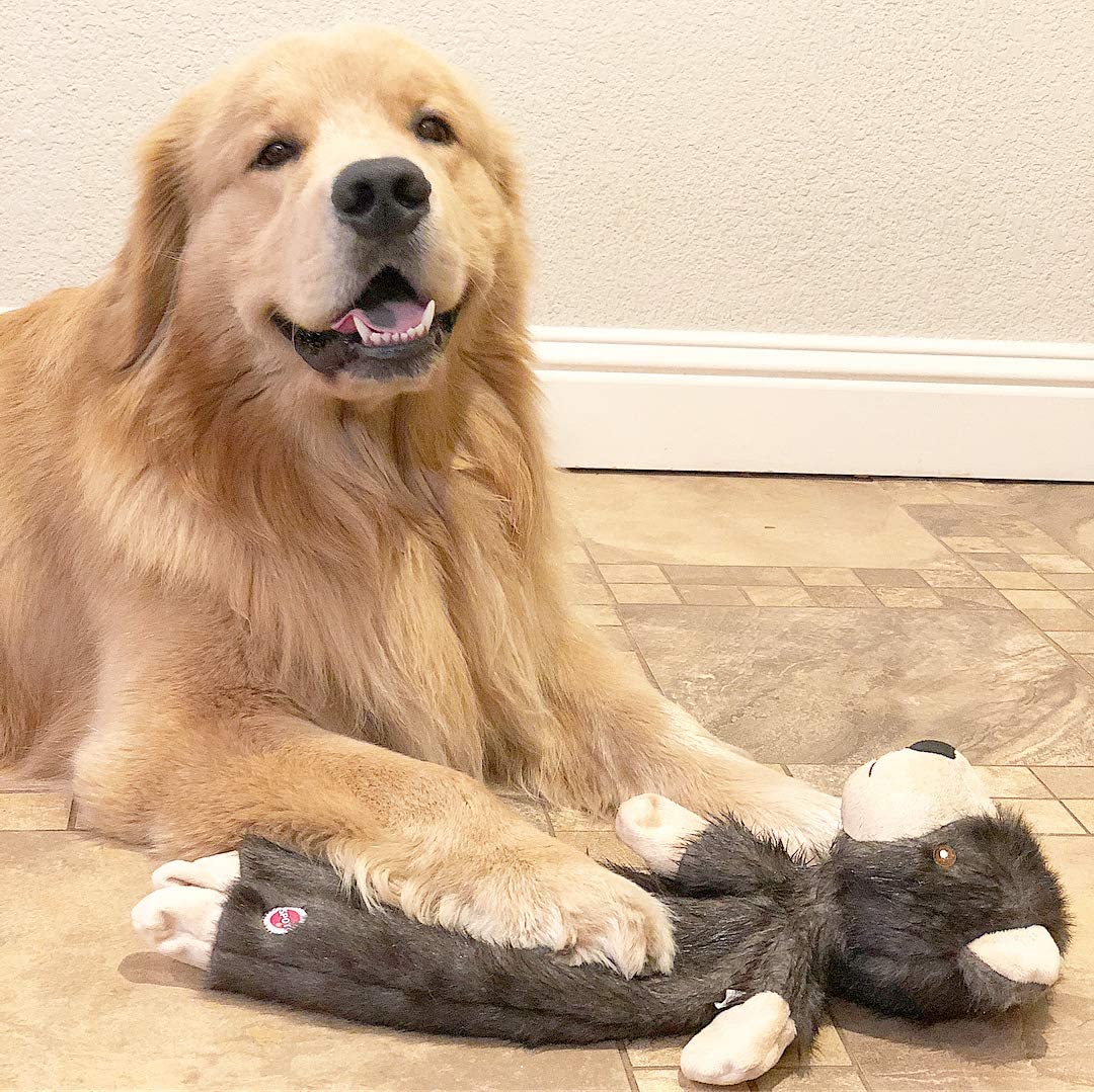 Stuffing Free Bear Dog Toy - Squeaky - Ethical Pet Products Furzz Plush Bear Dog Toys Ethical Pets 