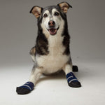 Healers Pet Medical Dog Boots and Bandages Healers 