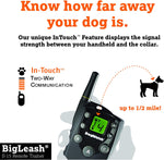 Dog Vibration Training Collar - Dogwatch BigLeash S-15 Remote Trainer Dog Training Collars DogWatch 