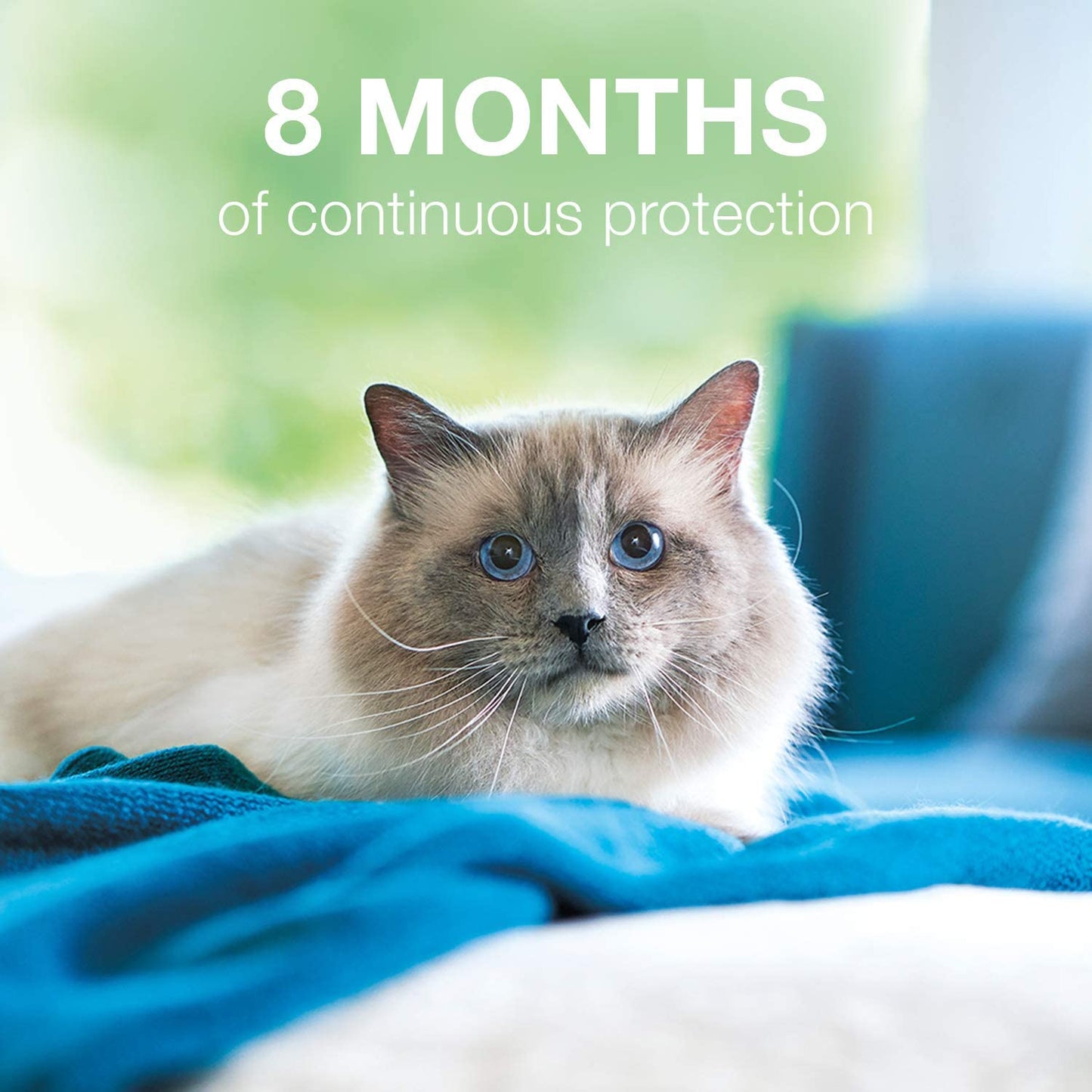Flea and Tick Collar for Cats - 8-Month - Seresto Bayer 