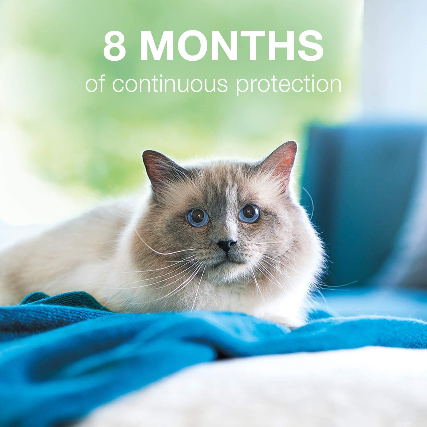Flea and Tick Collar for Cats - 8-Month - Seresto Bayer 