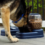 Small Gravity Pet Food Dispenser - 6lb Capacity - Petite Gourmet Pet Feeder - 13″ x 11.5″ x 11.25" - Bergan Bergan 