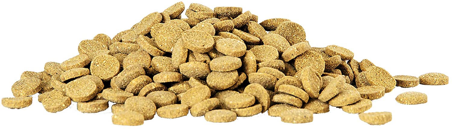 Aquarium Bottom Feeder Fish Food - Aqueon - 36 Tablets - 3oz Aqueon 