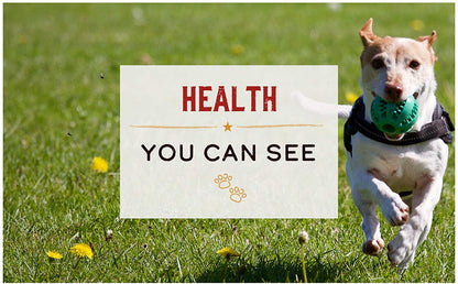 Real Chicken Dry Dog Food - Merrick Grain Free Real Chicken and Sweet Potato Recipe Dog Food Merrick 