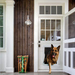 Designer Series Pet Door - Ideal Pet Products Ideal Pet Products 