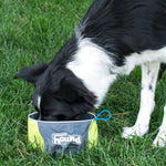 Collapsible Dog Travel Bowl for Food and Water - Port-A-Bowl 48oz. Outward Hound 