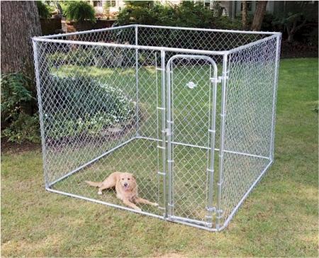 Fence Master Small Boxed Kennel Dog Kennels & Pens Fence Master 
