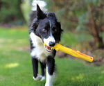 Fake Stick Dog Toy - Splinter Free - Washable - Floatable - Ruff Dawg Stick Dog Toy - 12″ x 5″ x 5" Ruff Dawg 
