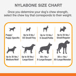 Puppy Teething Pacifier Chew Toy - Nylabone Nylabone 