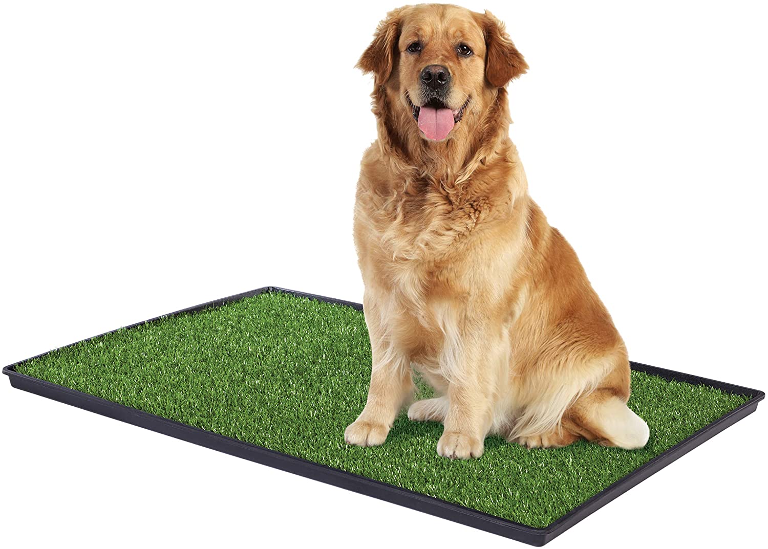 Large Dog Grass Pad - Prevue Pet Products Tinkle Turf Indoor Potty Pad