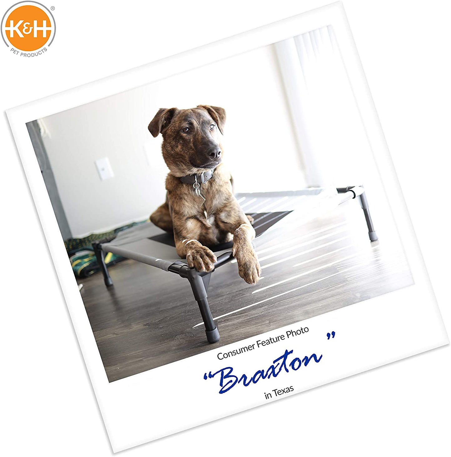 Camo Pet Cot - 200lb Capacity - K&H Pet Products RealTree Original Pet Cot K&H Pet Products 