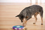 Nina Ottosson Dog Twister Puzzle Game (Level 3 - Advanced) Outward Hound 