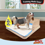 Dog Pee Pad Tray Holder - Wee-Wee Pad On Target Trainer Pee Pad Tray - Four Paws Four Paws 
