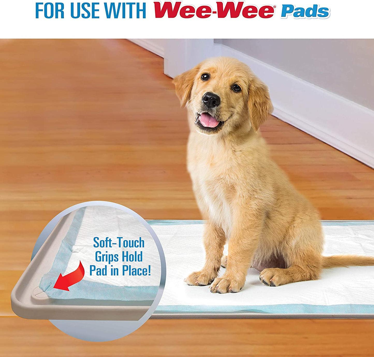 Wee-Wee Pad Holder - Silicone - Four Paws Four Paws 