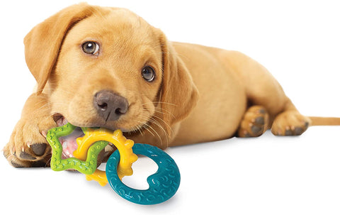Puppy Teething Rings Chew Toy - Nylabone Nylabone 