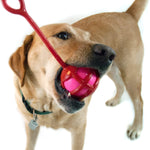 Whipper Snapper Dog Toy - Ruff Dawg Ruff Dawg 