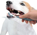 Dog Dental Kit - Nylabone Advanced Oral Care Natural Dog Dental Kit Nylabone 