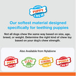 Puppy Teething Pacifier Chew Toy - Nylabone Nylabone 