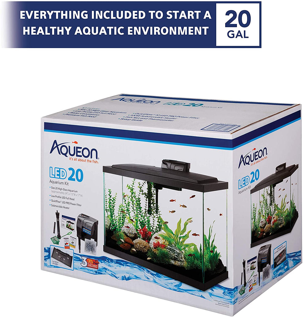 20 Gallon Long Aquarium Kit - Aqueon 20 Gallon LED Aquarium Kit - Fish