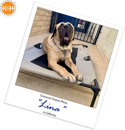 Camo Pet Cot - 200lb Capacity - K&H Pet Products RealTree Original Pet Cot K&H Pet Products 