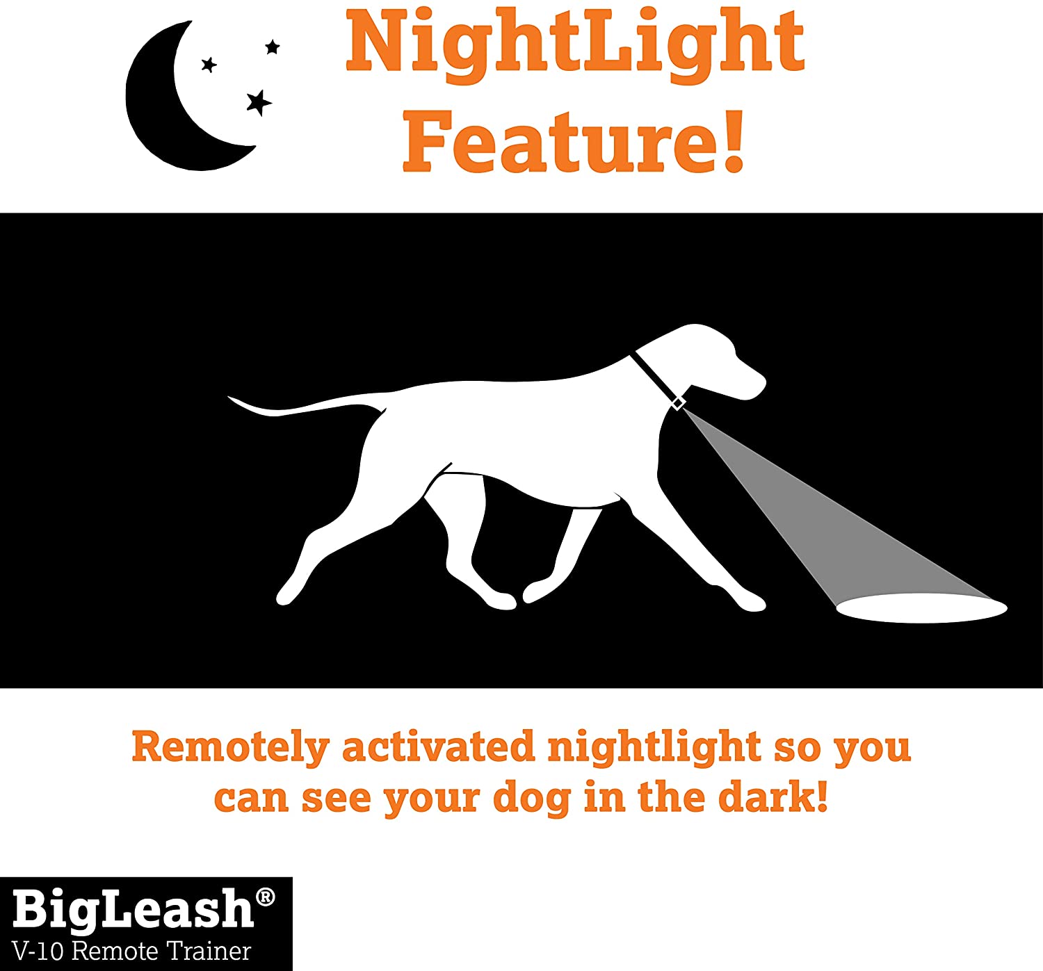 Dog Vibration Collar Remote Trainer - BigLeash V-10 Vibration Remote Trainer Dog Training Collars DogWatch 