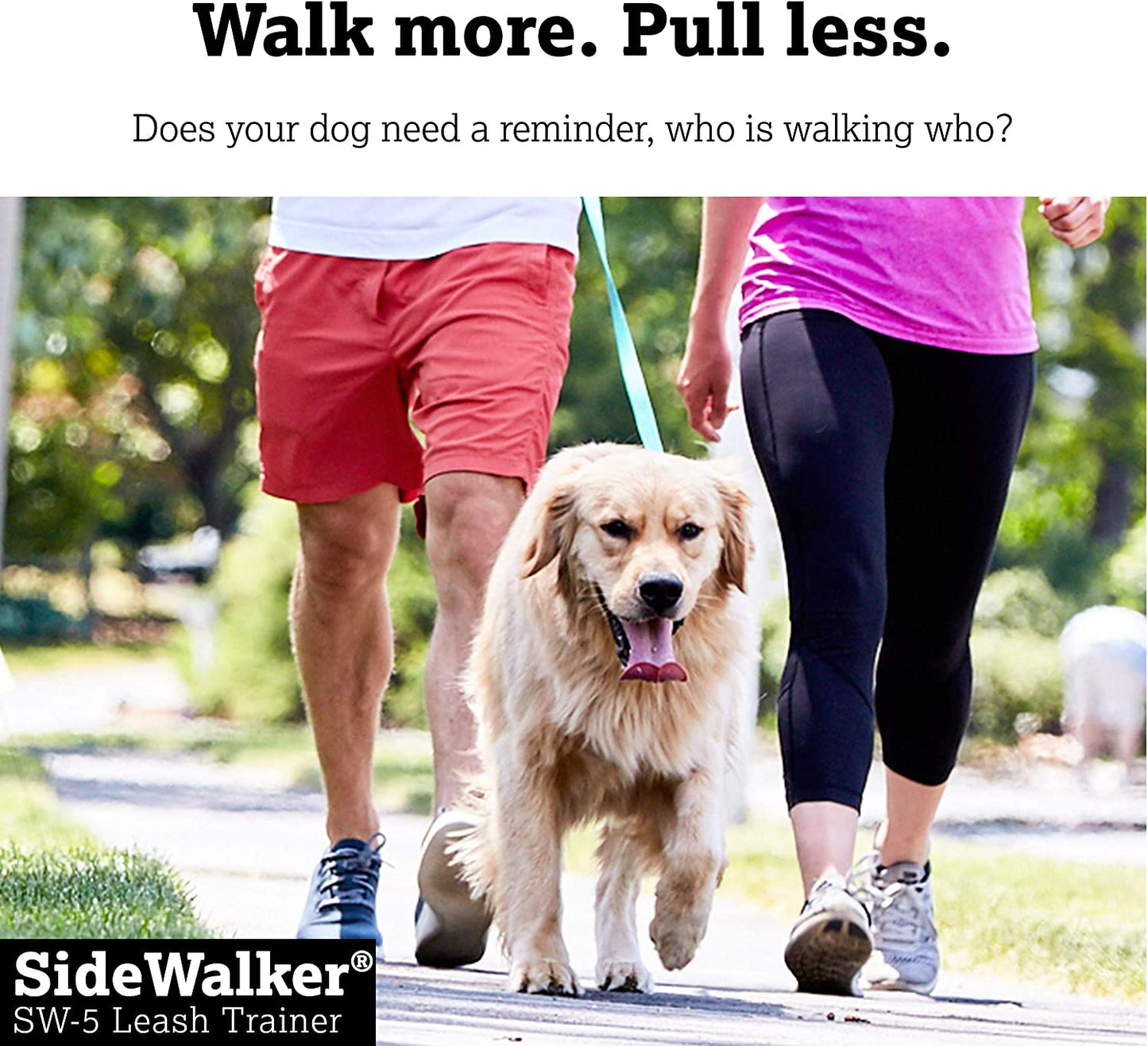 DogWatch SideWalker SW-5 Leash Training Collar Dog Training Collars DogWatch 