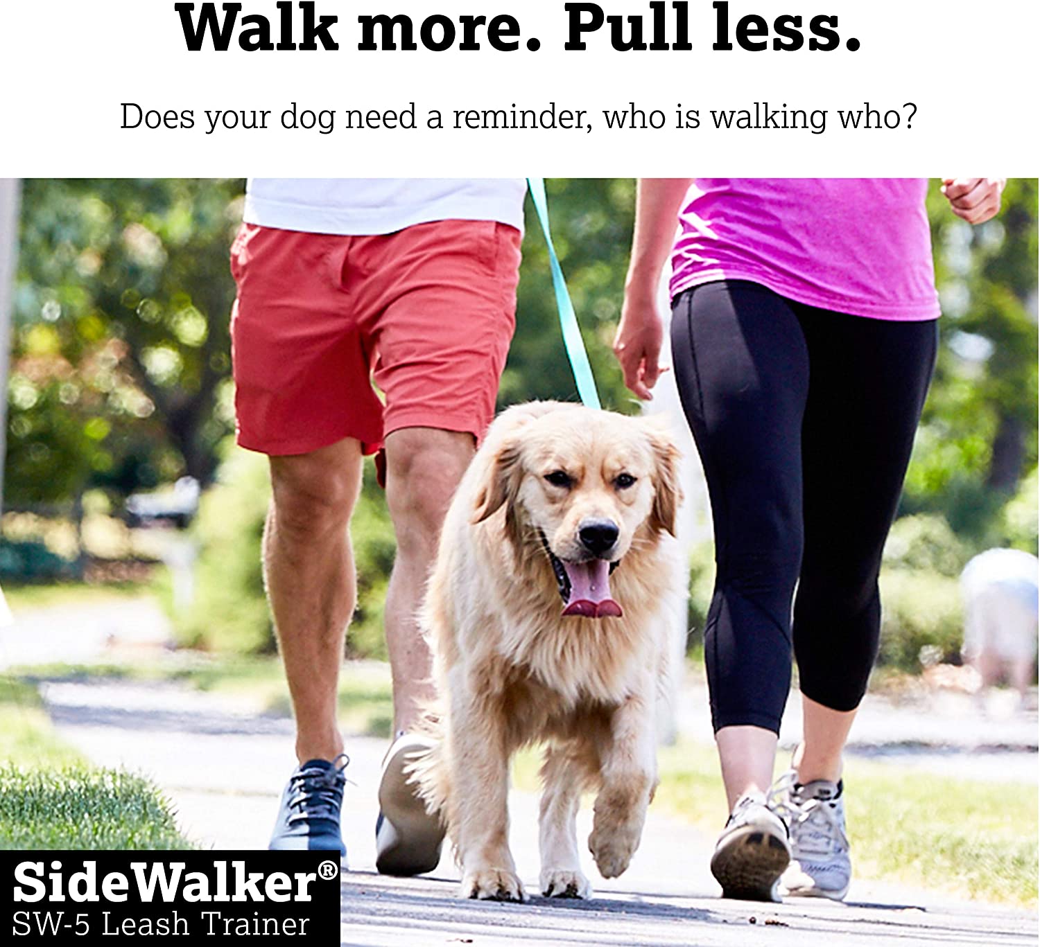 DogWatch SideWalker SW-5 Leash Training Collar Dog Training Collars DogWatch 