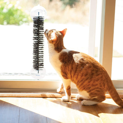 Self Grooming Cat Brush - K&H Pet Products EZ Mount K&H Pet Products 