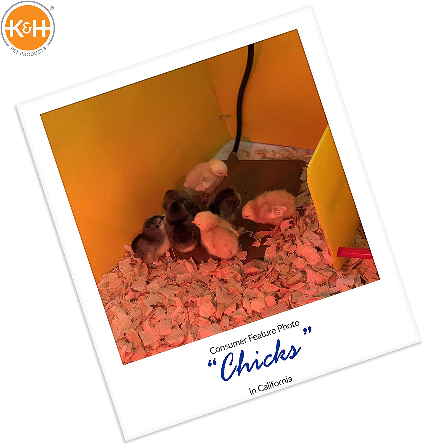 K&H Pet Products Thermo-Peep Heated Pad K&H Pet Products 