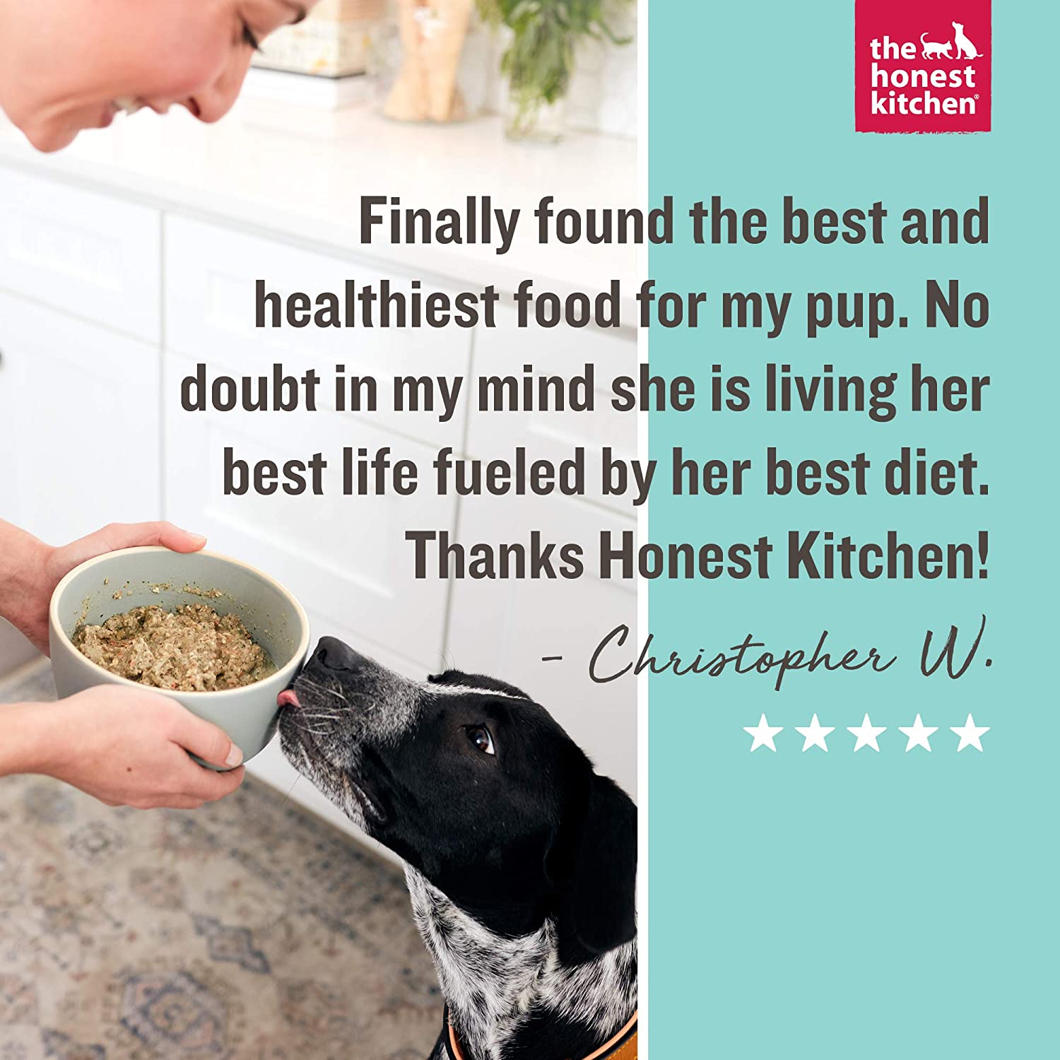 The Honest Kitchen Human Grade Dehydrated Grain Free Dog Food (1.75 oz. Cup) - Pack of 12 Dog Food The Honest Kitchen 