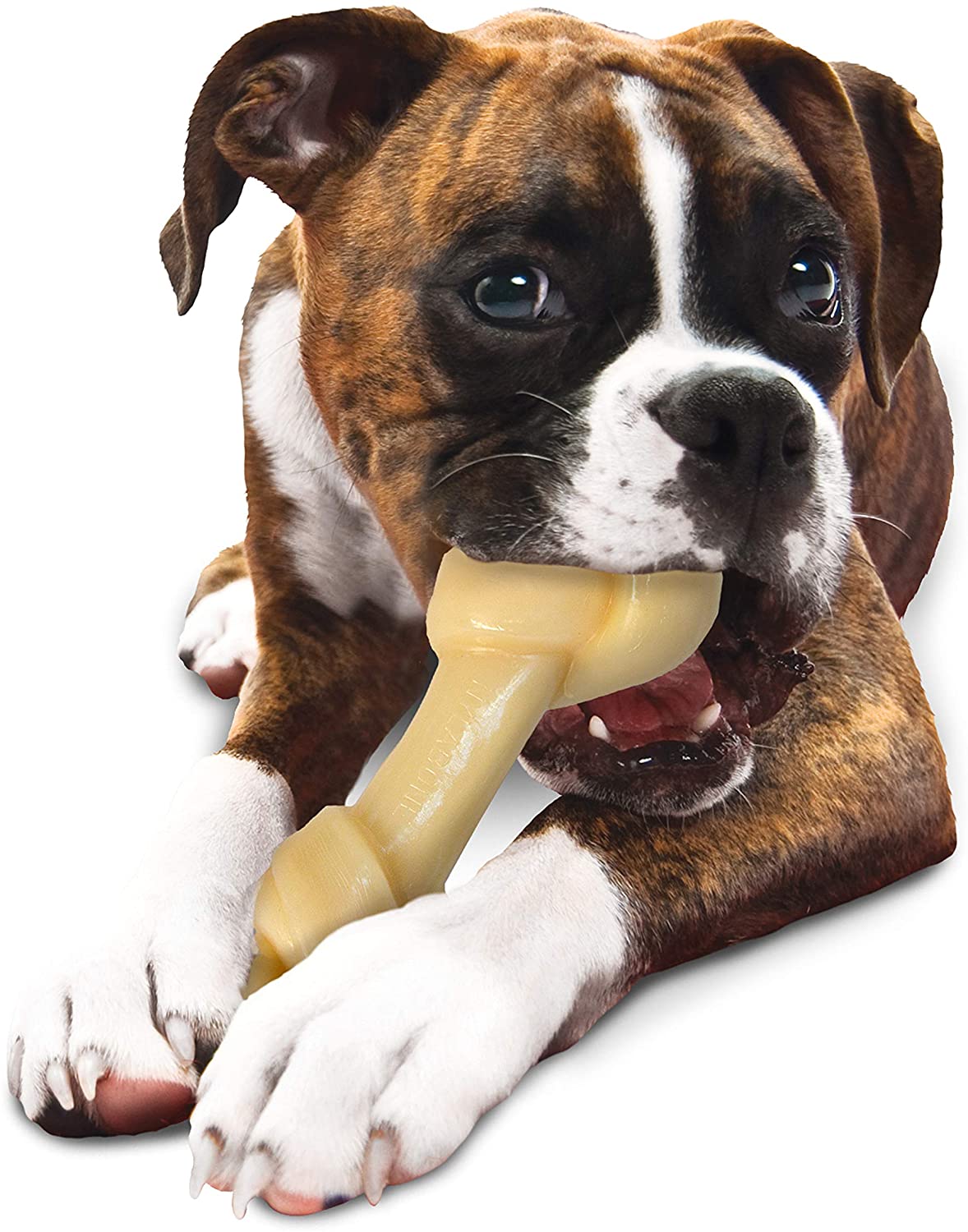 Long Lasting Dog Chew Toy - Nylabone Power Chew Big Chew Knot Nylabone 