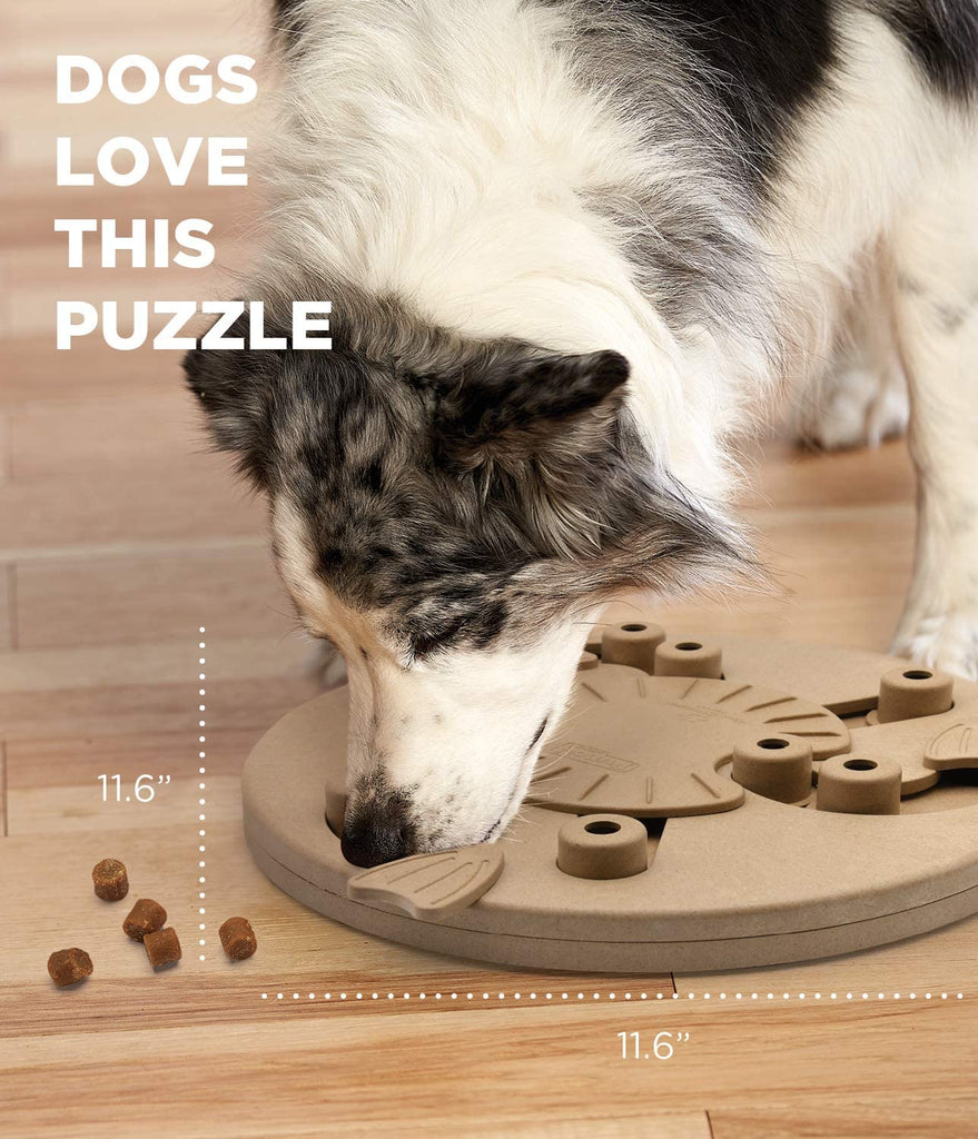 Fast (7-Day) Free Shipping Seek-a-Treat Advanced Challenge Shuffle Bone –  CANIS CALLIDUS, dog puzzle advanced 