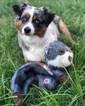Stuffing Free Racoon Dog Toy - Squeaky - Ethical Pet Products Furzz Plush Raccoon Dog Toys Ethical Pets 