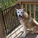 Outdoor Stair Pet Gate - Cardinal Stairway Special Outdoor Pet Gate Pet Gates Cardinal Black 