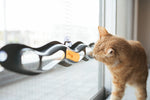 Interactive Window Mounted Cat Toy - EZ Mount Track N' Roll - K&H Pet Products K&H Pet Products 