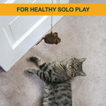 Door Mounted Cat Toy - Play-N-Squeak Batting Practice Our Pets 